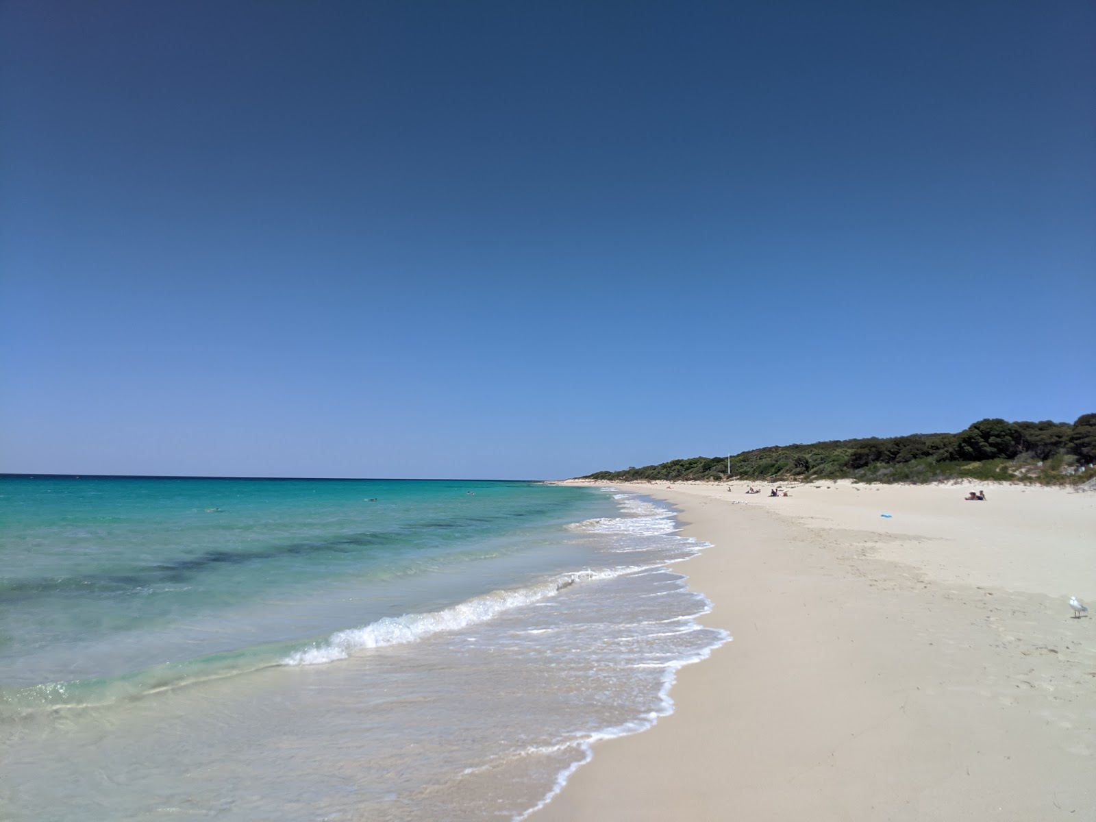 Eagle Bay Beach的照片 带有碧绿色纯水表面