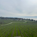 Photo n°1 de l'avis de Udo.r fait le 17/03/2024 à 14:00 sur le  Wirtshaus Alte Brennerei à Stetten