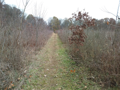 Nature Preserve «Burnett Woods», reviews and photos, 8264 E County Rd 100 S, Avon, IN 46123, USA