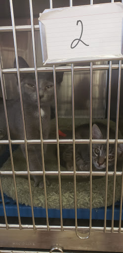 Pet Supply Store «Petsense Murray», reviews and photos, 1550 Lowes Dr, Murray, KY 42071, USA