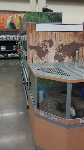 Pet Supply Store «Petco Animal Supplies», reviews and photos, 1419 Towne Square Blvd NW, Roanoke, VA 24019, USA
