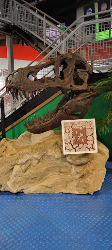 Tourist Attraction «IMAG History & Science Center (formerly Imaginarium Science Center)», reviews and photos, 2000 Cranford Ave, Fort Myers, FL 33916, USA