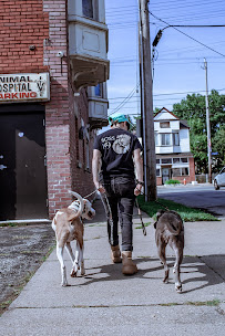 Boss K9 - Photo 2 - Car repair in Cleveland, OH, Cleveland