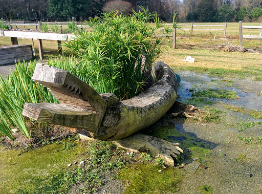 Museum «Burden Museum & Gardens», reviews and photos, 4560 Essen Ln, Baton Rouge, LA 70809, USA