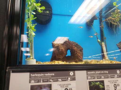 Pet Supply Store «Petco Animal Supplies», reviews and photos, 6761 Westminster Ave, Westminster, CA 92683, USA