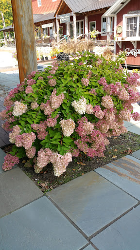 Garden Center «The Barns at Lang Farm», reviews and photos, 45 Upper Main St, Essex Junction, VT 05452, USA