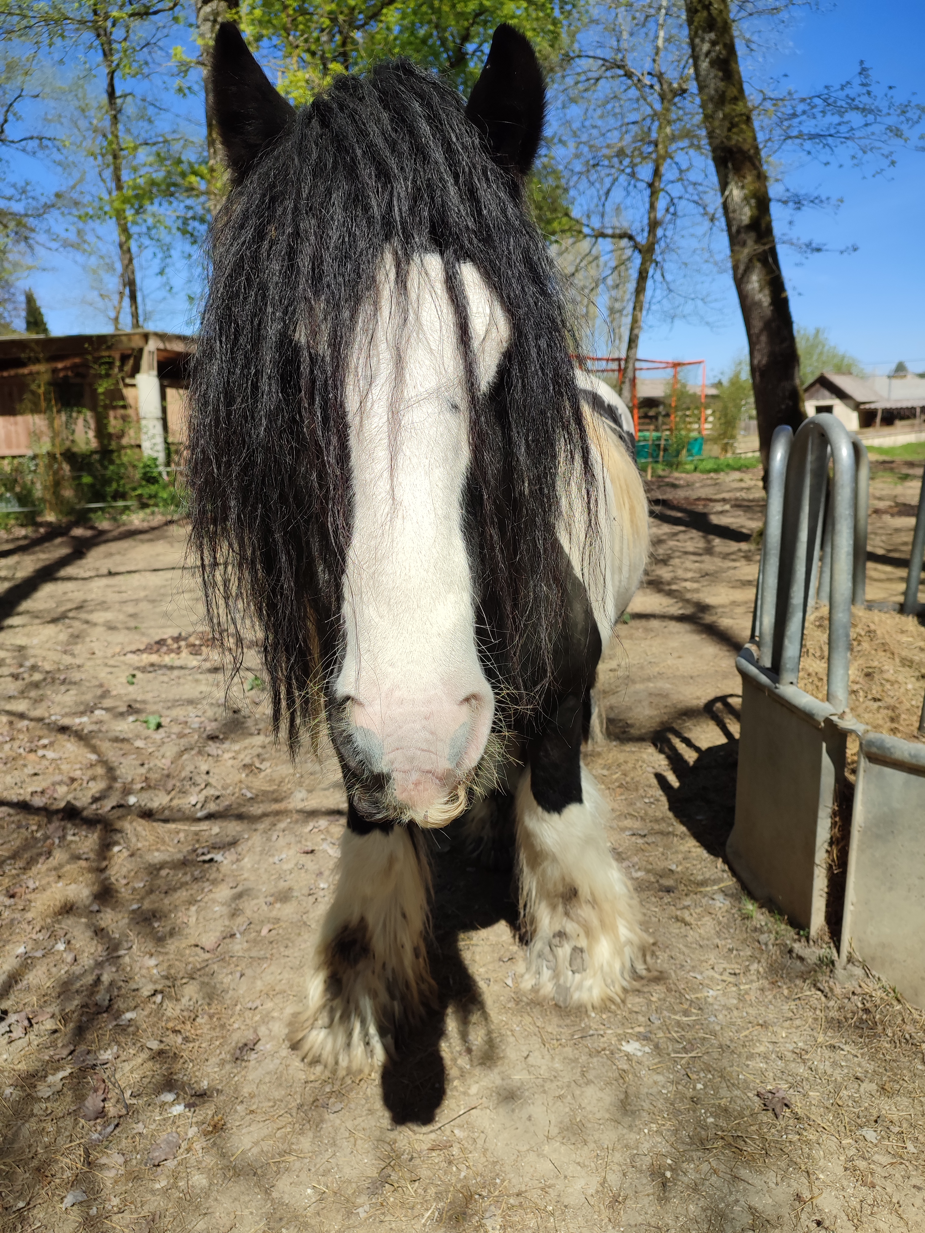 Photo n° 2 de l'avis de Nellie.a fait le 29/04/2023 à 13:47