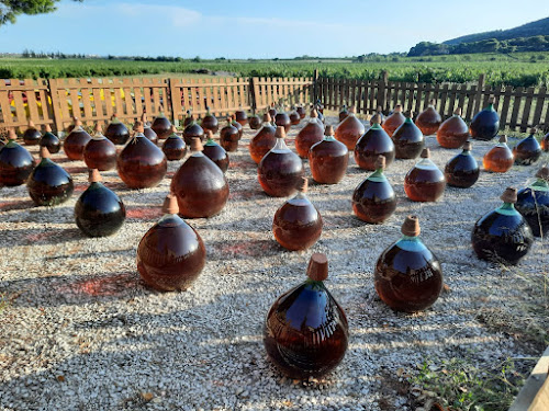 Domaine de la plaine muscat de frontignan à Vic-la-Gardiole