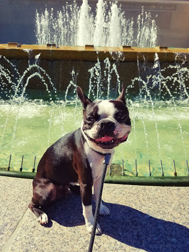 History Museum «National World War I Museum and Memorial», reviews and photos, 2 Memorial Dr, Kansas City, MO 64108, USA