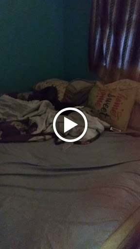 Bowling Alley «AMF Sky Lanes», reviews and photos, 7401 S Orange Blossom Trail, Orlando, FL 32809, USA