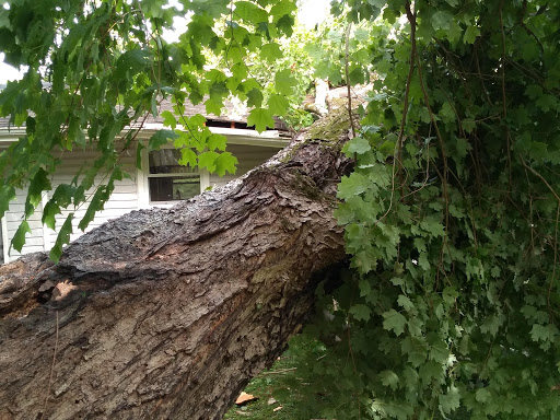 General Contractor «Southeast Restoration of Canton», reviews and photos, 120 Mountain Brook Dr, Canton, GA 30115, USA