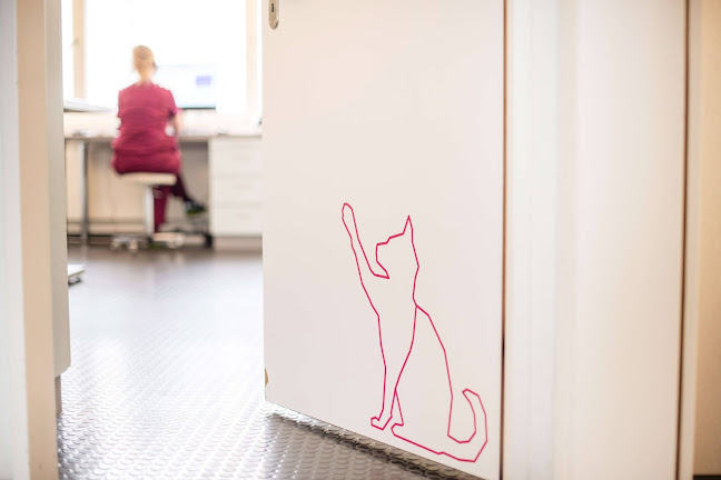 Rezensionen über VetTrust Kleintierpraxis Regensdorf in Zürich - Tierarzt