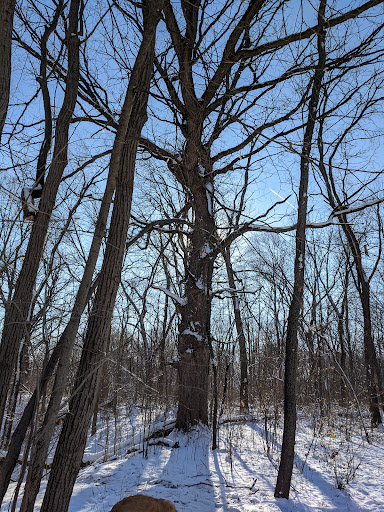 Park «Mather Woods Forest Preserve», reviews and photos, 25032 W Renwick Rd, Plainfield, IL 60544, USA