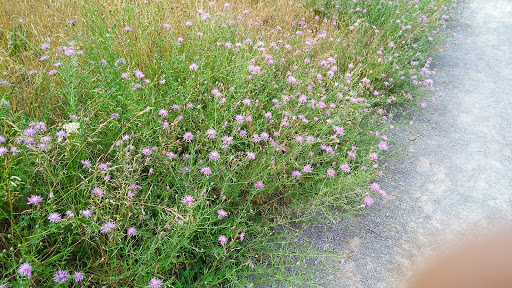 Nature Preserve «Times Beach Nature Preserve», reviews and photos, Coast Guard Station S Rd, Buffalo, NY 14203, USA