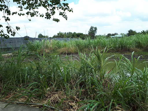 Miễu Bà Họ Đặng
