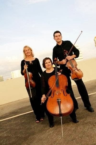 Palm Strings Quartet