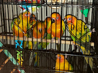 Nail Art - Photo 7 - Car repair in Raritan, NJ, Trenton