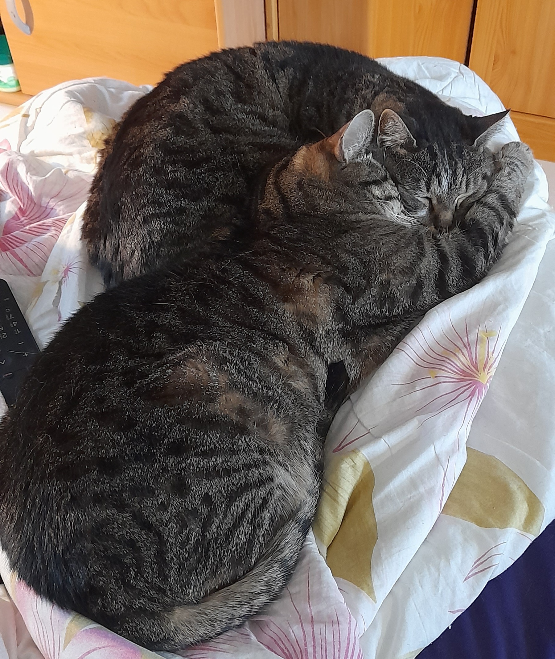 Photo n° 2 de l'avis de Laetitia.a fait le 29/03/2023 à 17:18