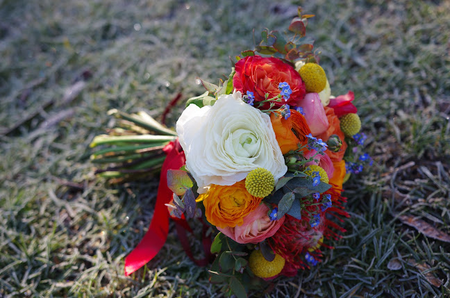 41 Bd Emile Zola, 54520 Laxou