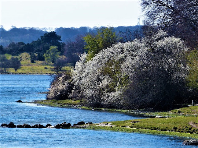 Opinii despre Låenhus lejrskole în Hobro - Skole
