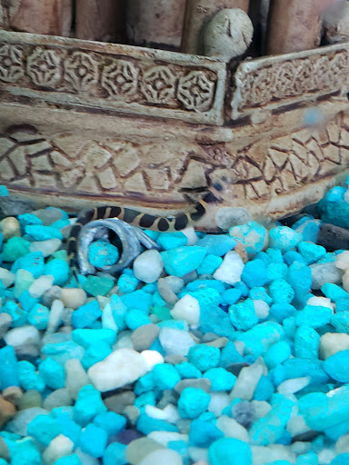 Pet Supply Store «Pet Station Jackson», reviews and photos, 1617 E Michigan Ave, Jackson, MI 49202, USA