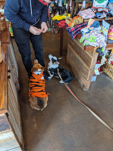 Pet Supply Store «Holistic Hound», reviews and photos, 1510 Walnut St # A, Berkeley, CA 94709, USA