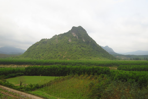 The Rockpile