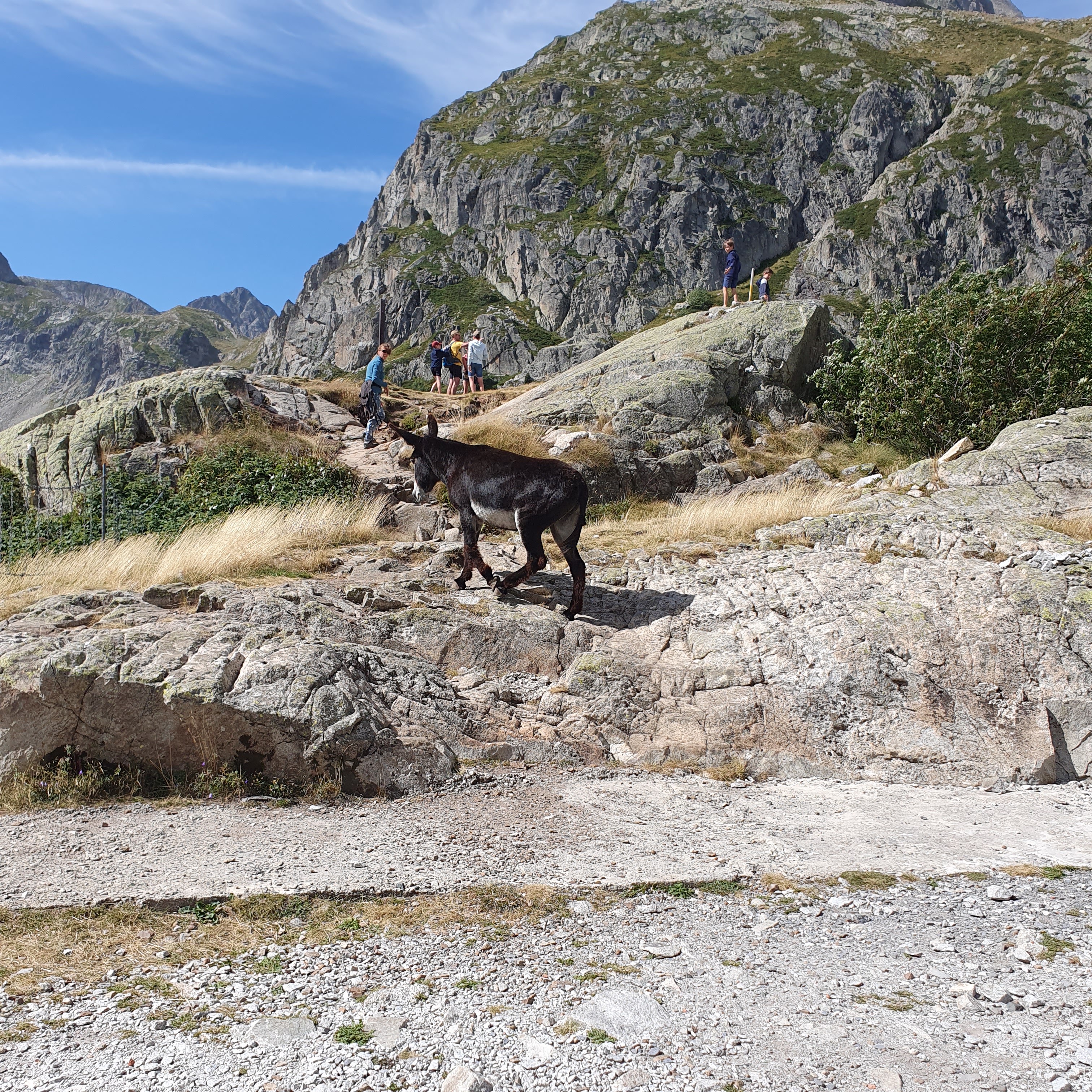 Photo n° 2 de l'avis de christine.a fait le 17/08/2023 à 18:14