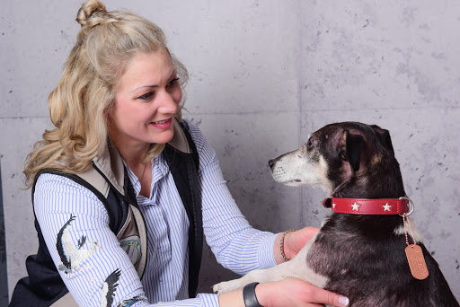 Tierarztpraxis MedicalVet.Life unter Bosau, 