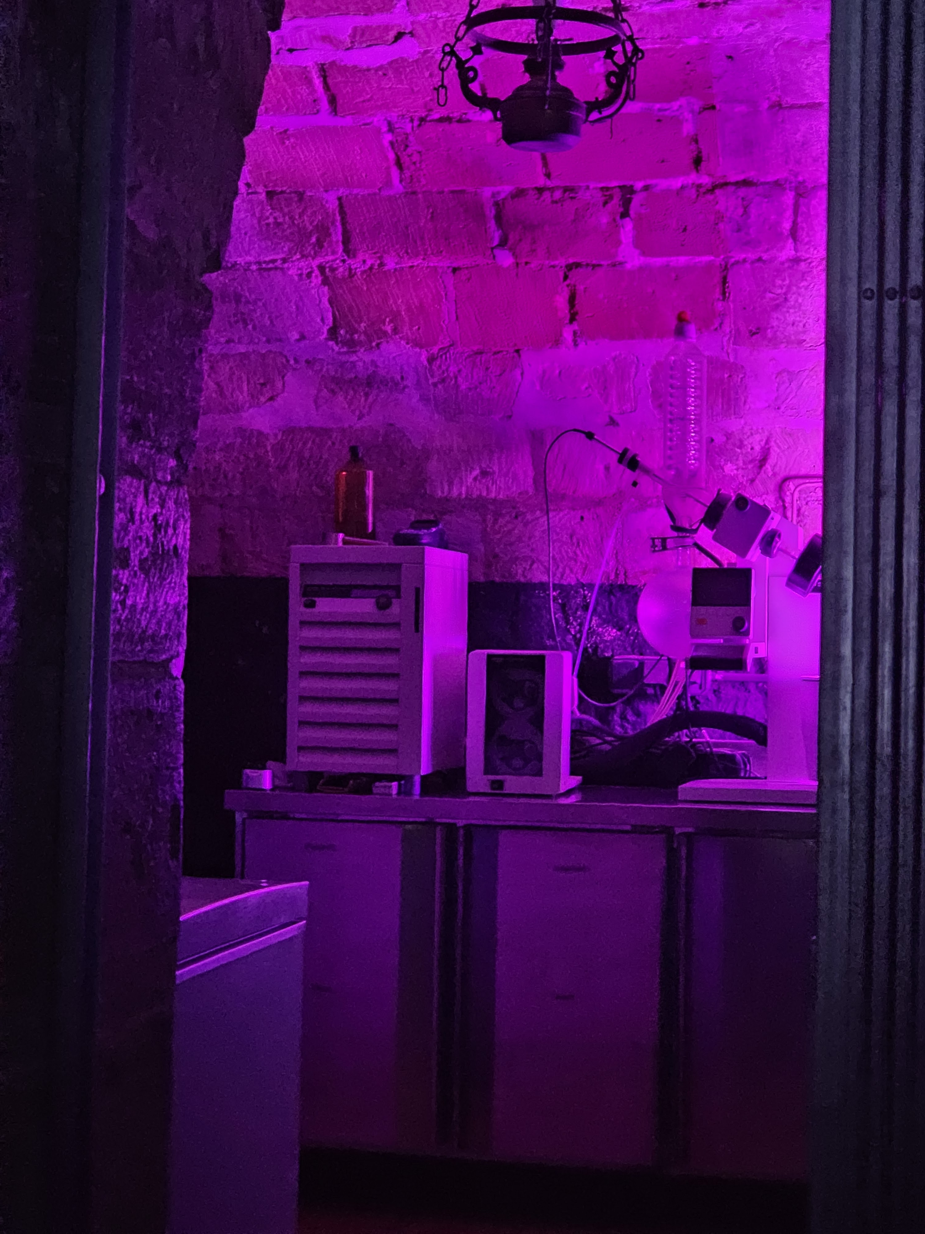Photo n° 6 de l'avis de Jack.h fait le 16/11/2023 à 00:58