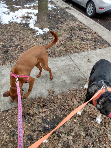 Movie Theater «The Logan Theatre», reviews and photos, 2646 N Milwaukee Ave, Chicago, IL 60647, USA