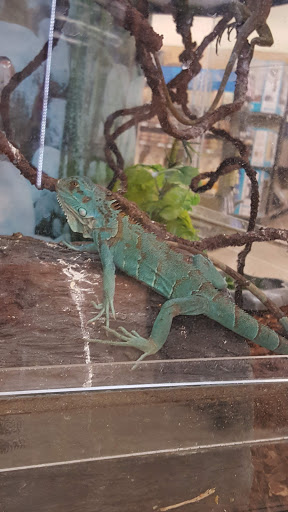 Pet Supply Store «Petco Animal Supplies», reviews and photos, 5631 Grove Blvd, Hoover, AL 35226, USA