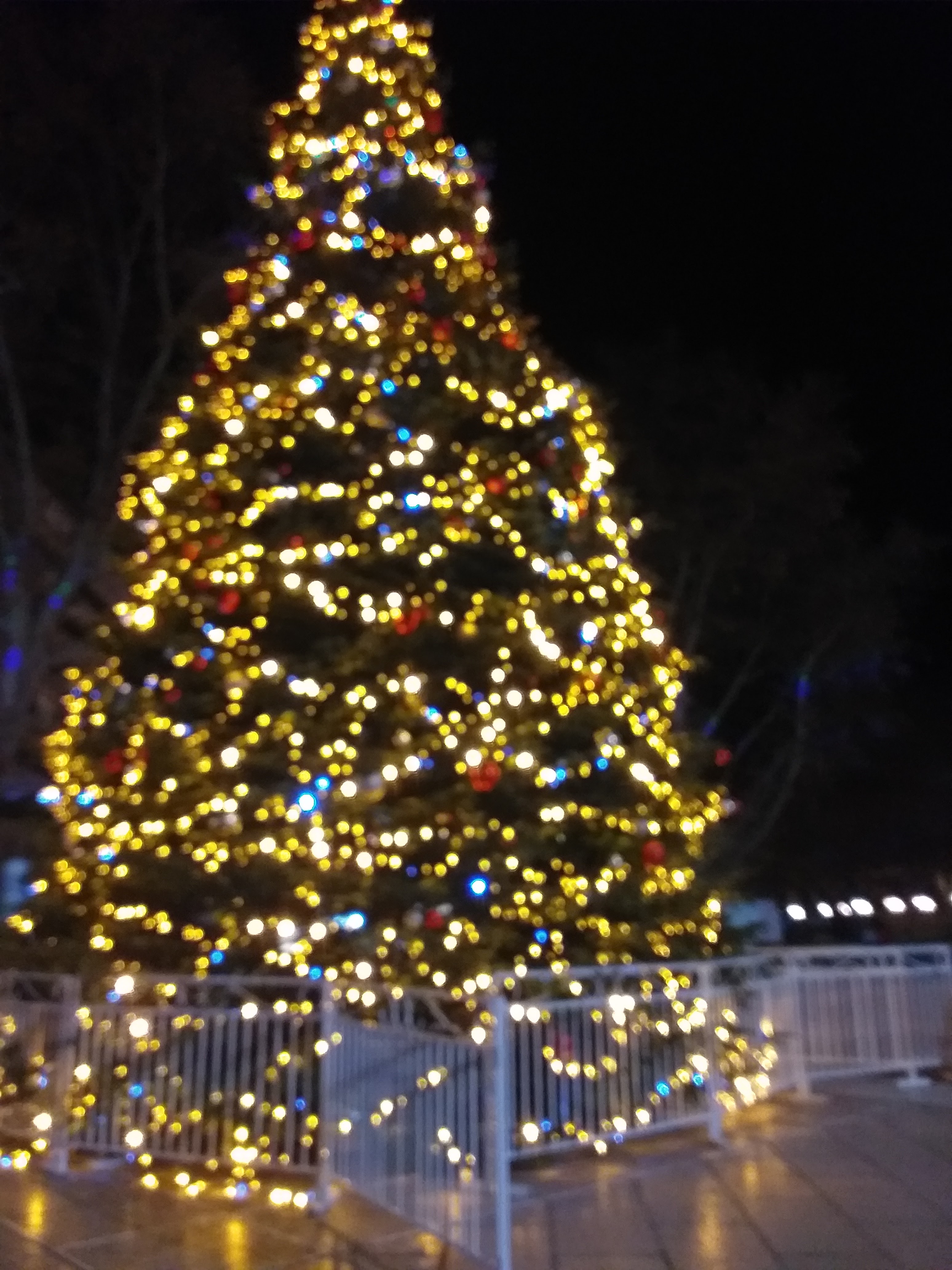 Photo n° 1 de l'avis de Gilberte.a fait le 19/12/2023 à 19:17