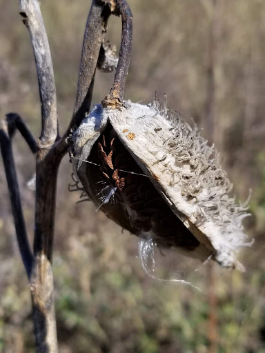 Nature Preserve «Audubon Center at Riverlands», reviews and photos, 301 Riverlands Way, West Alton, MO 63386, USA
