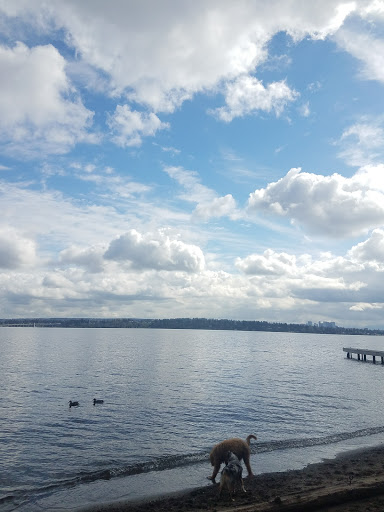 Park «Lakeview Park», reviews and photos, 340 37th Ave E, Seattle, WA 98112, USA