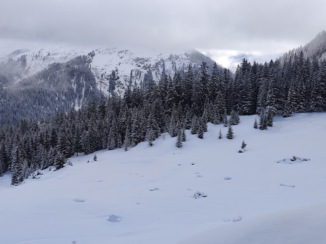 Davos Klosters Skigebiet - Davos