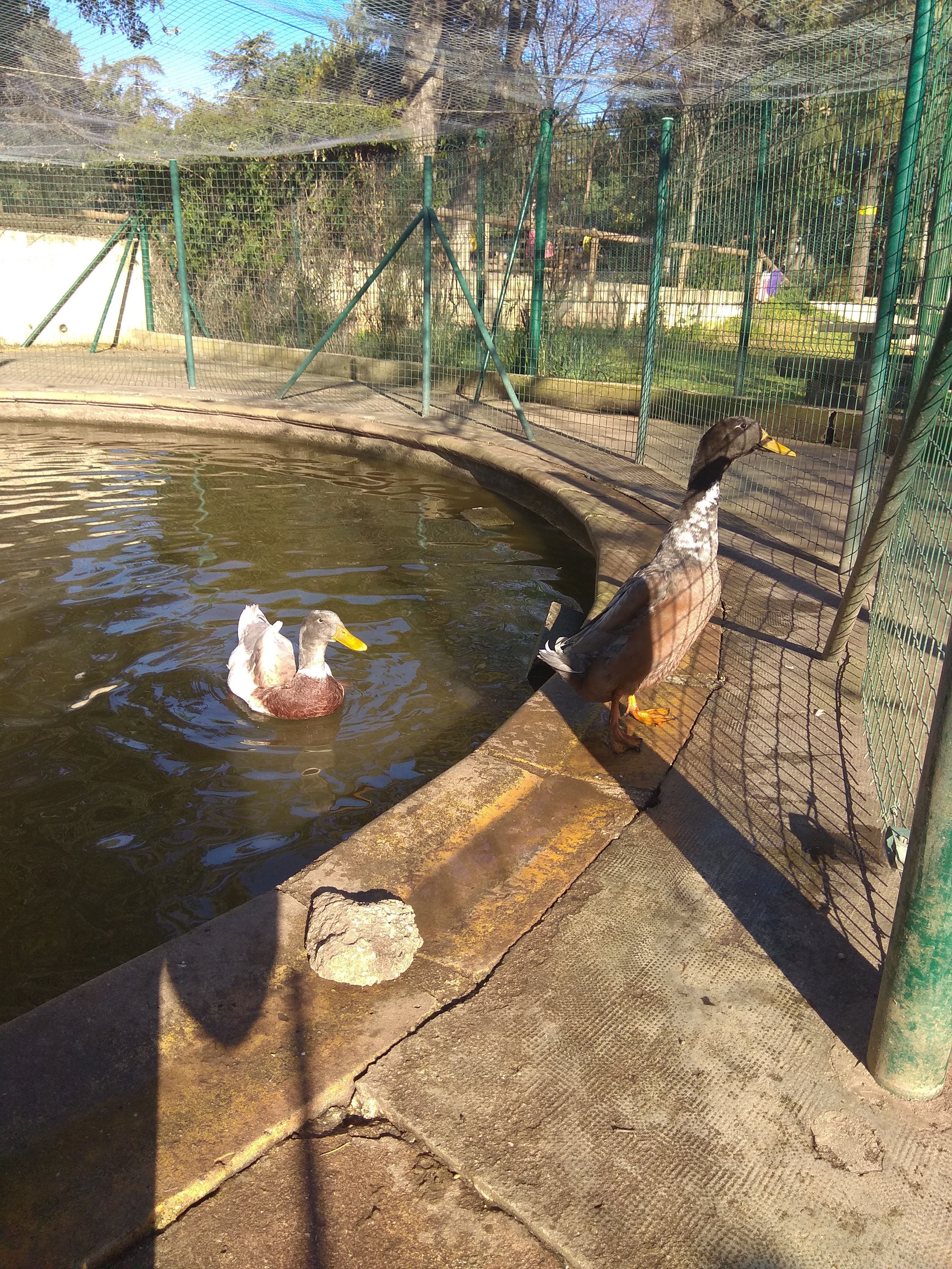 Photo n° 3 de l'avis de Alice.e fait le 03/02/2019 à 07:59