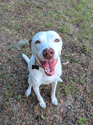 Park «Southside Park», reviews and photos, Southside Park Loop, Beaufort, SC 29902, USA