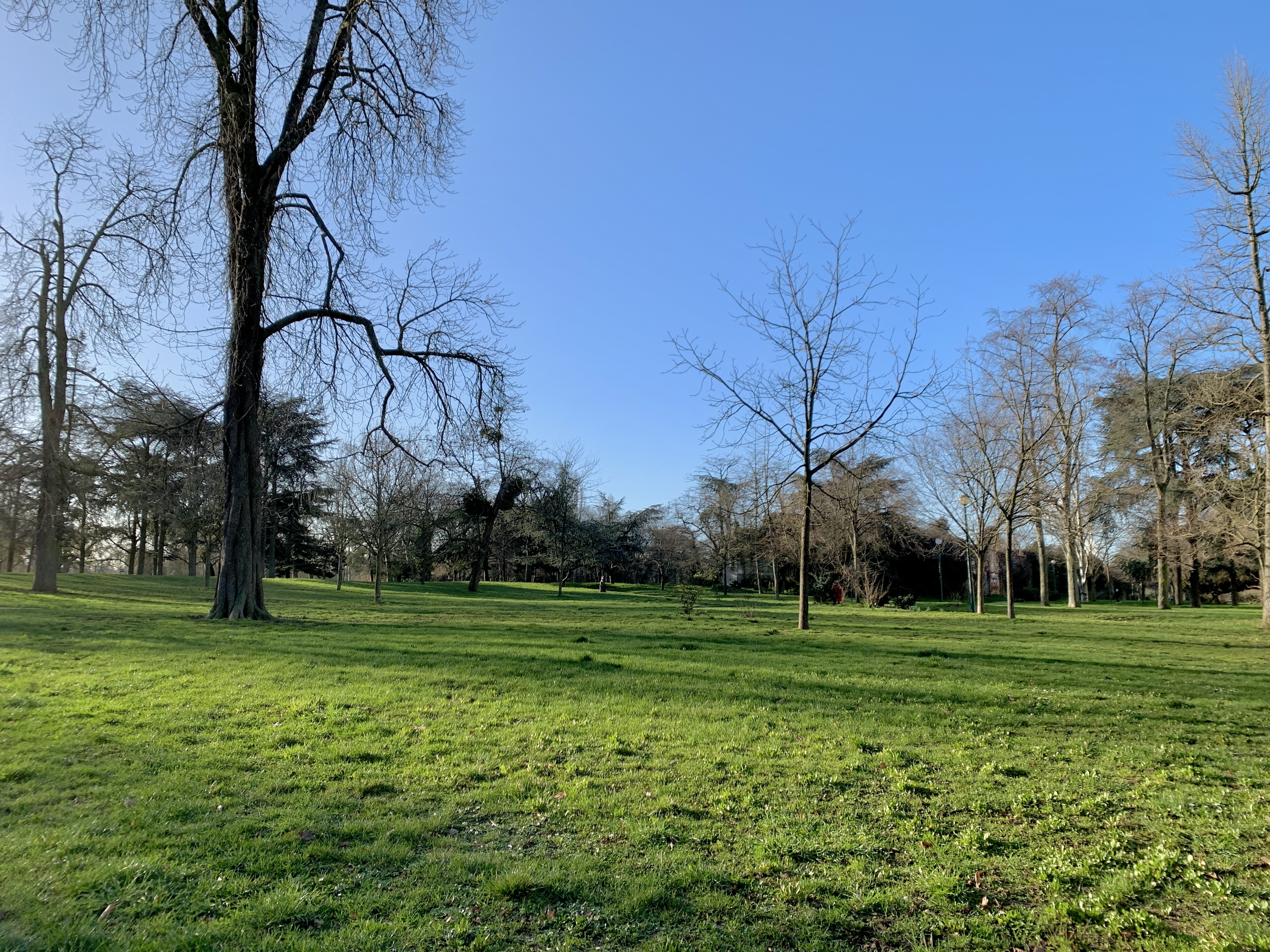 Photo n° 1 de l'avis de Agnès. fait le 10/02/2022 à 08:51