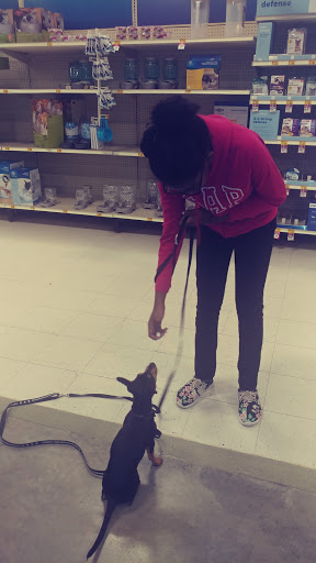 Pet Supply Store «PetSmart», reviews and photos, 250 Grossman Dr, Braintree, MA 02184, USA