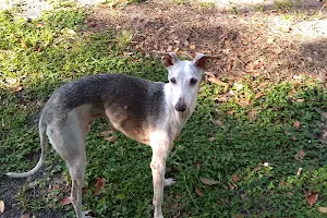 Backwoods Trail Veterinary image