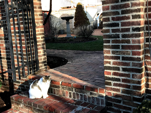 Bed & Breakfast «Showers Inn Bed & Breakfast», reviews and photos, 430 N Washington St, Bloomington, IN 47404, USA