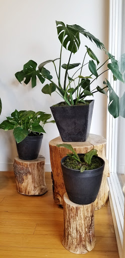 Family Law Attorney «Just Law, LLC», reviews and photos