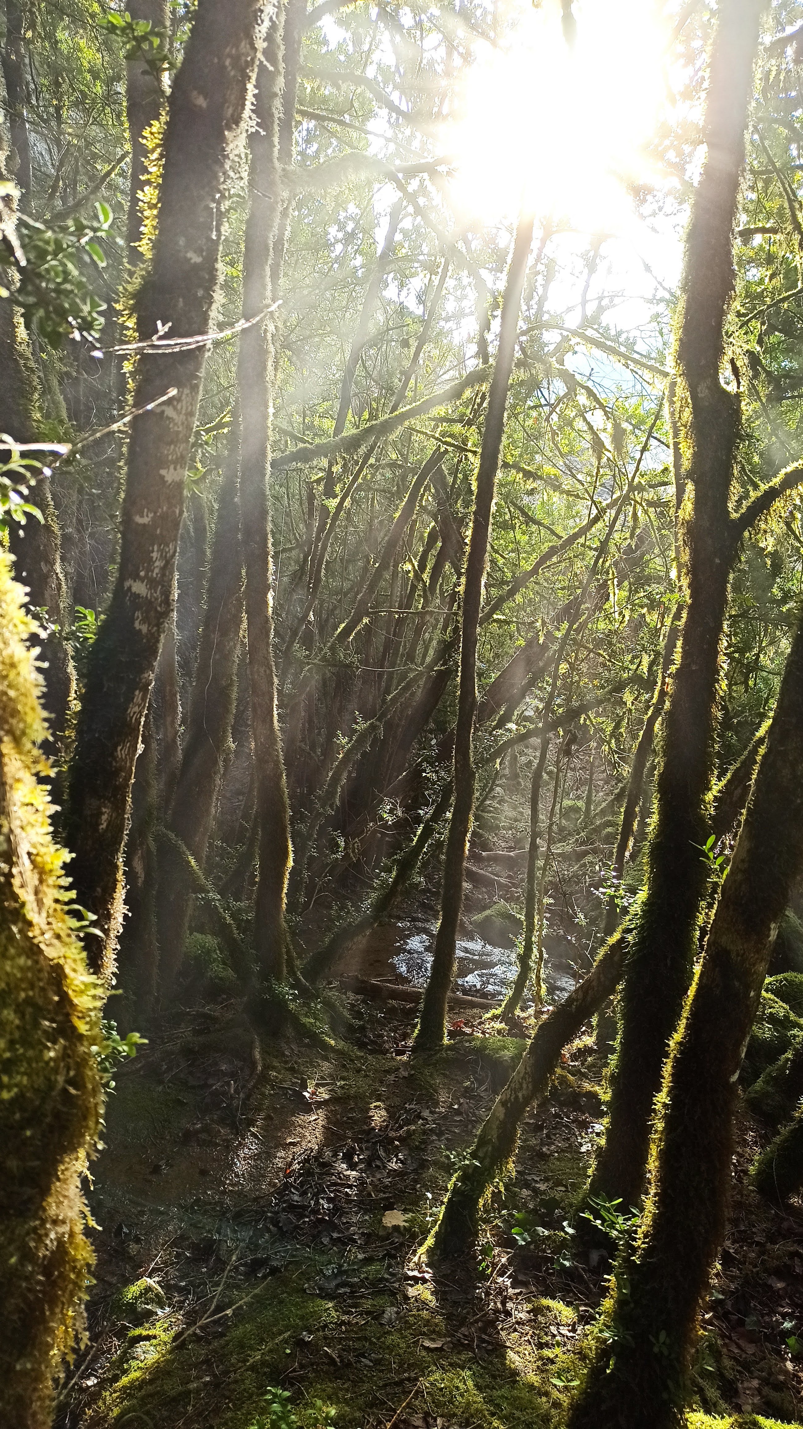 Photo n° 23 de l'avis de Veltas. fait le 30/10/2019 à 11:55