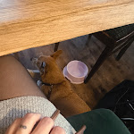 Photo n°7 de l'avis de M... fait le 13/01/2024 à 09:19 sur le  Café 21 in Wildau à Wildau