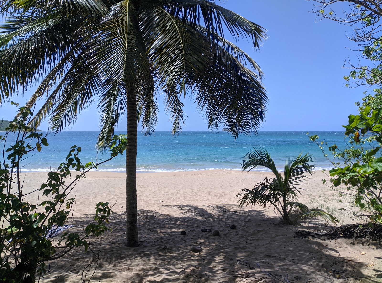 Foto af Plage de Tillet - populært sted blandt afslapningskendere