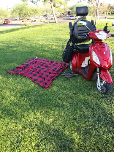 City Park «Steele Indian School Park», reviews and photos, 300 E Indian School Rd, Phoenix, AZ 85012, USA