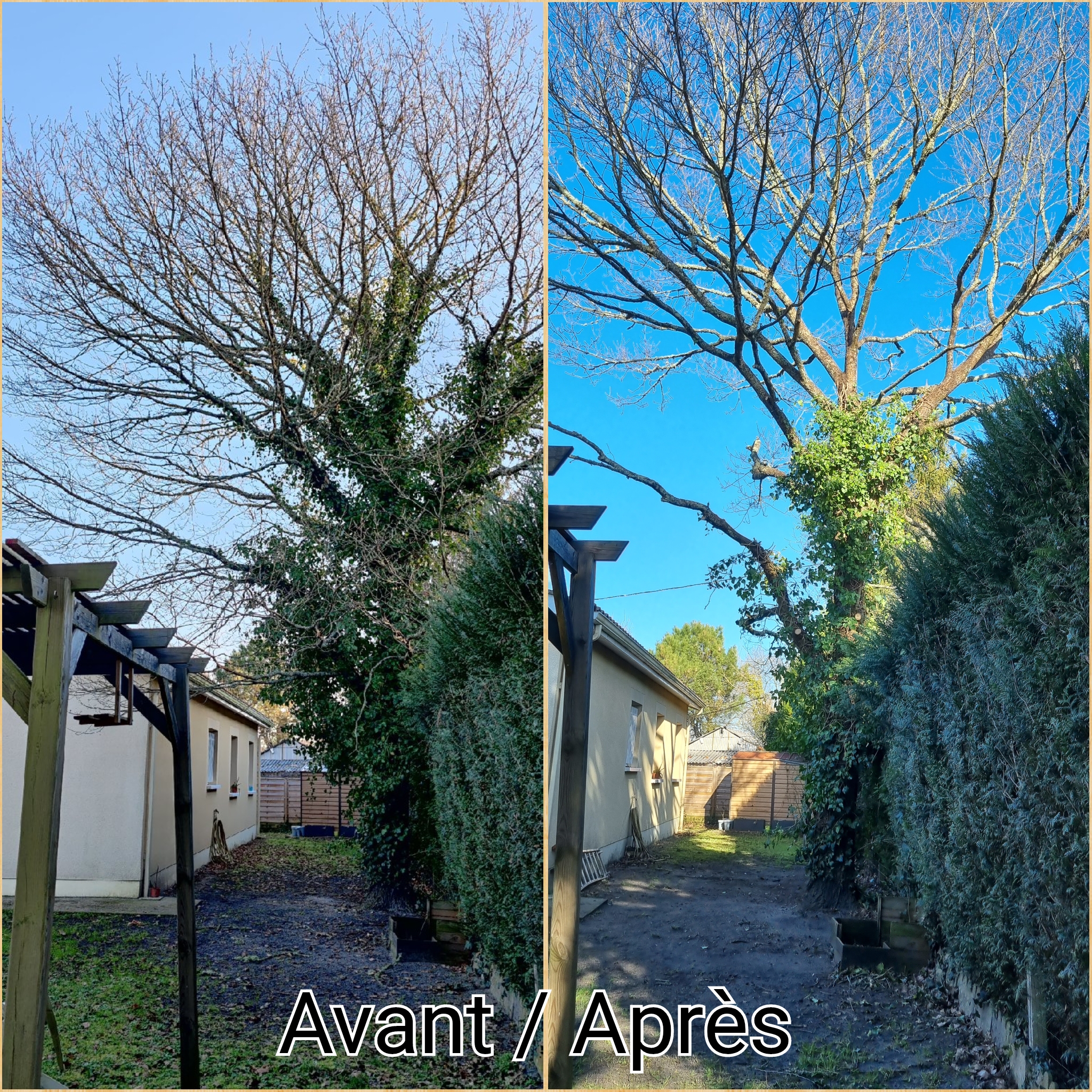 Photo n° 1 de l'avis de Emeline.o fait le 09/02/2022 à 15:48