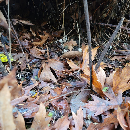 Park «Colman Park», reviews and photos, 1800 Lake Washington Blvd S, Seattle, WA 98144, USA