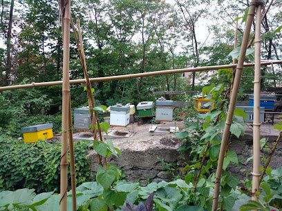 Jardin Partagé des Habitants de la Butte Bergeyre